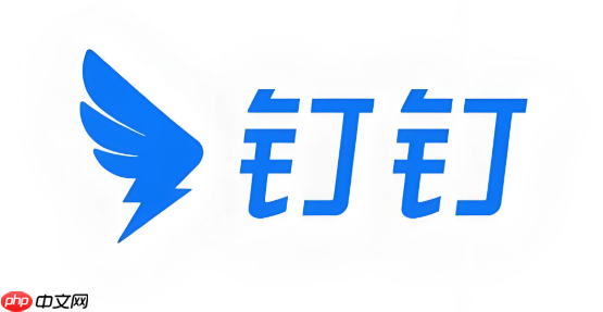 钉钉视频播放无声音如何处理 钉钉视频音频优化方法