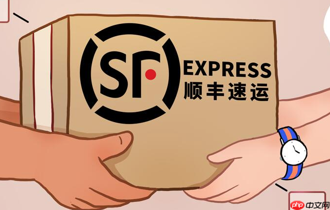 顺丰快递查询运单信息 顺丰物流包裹运输实时更新