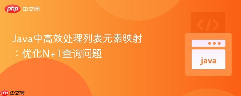 Java中高效处理列表元素映射：优化N+1查询问题