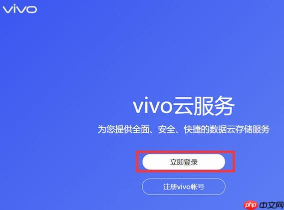 vivo云服务铂金会员多少钱 vivo云服务铂金会员价格