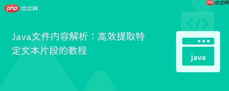 Java文件内容解析：高效提取特定文本片段的教程