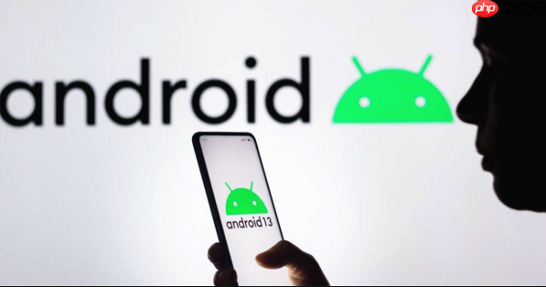 荣耀 magic8 pro+ 屏幕亮度过低_荣耀 magic8 pro+ 显示优化