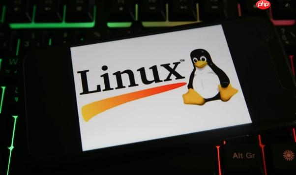 linux如何查看服务器硬件信息_linuxlshw与dmidecode使用方法