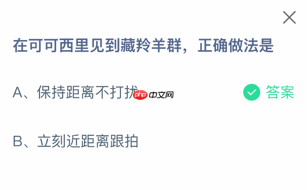 在可可西里见到藏羚羊群，正确做法是