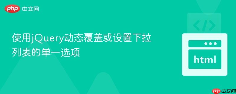 使用jquery动态覆盖或设置下拉列表的单一选项