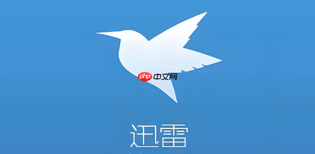 迅雷在线登录平台 迅雷网页版官方入口