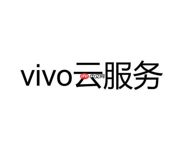 vivo云服务怎么修改密码 如何修改vivo云服务的密码
