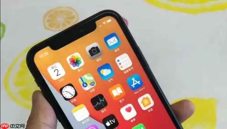 手机充电口有异物堵塞怎么办？ 安全清理的小技巧