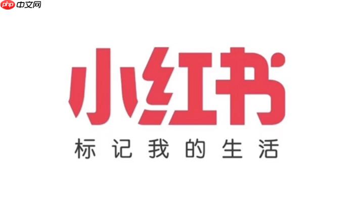 小红书账号安全提示无法解除怎么办 小红书账号安全设置与解除方法