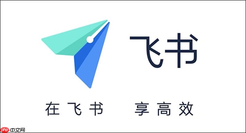 飞书账号安全提示无法解除如何处理 飞书账号安全设置优化方法