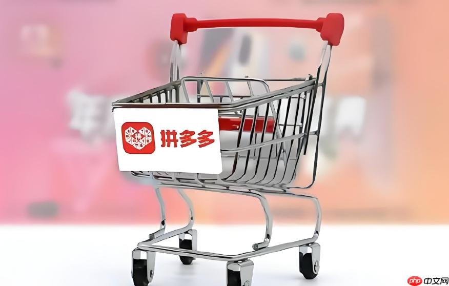 拼多多首页推荐专区在哪