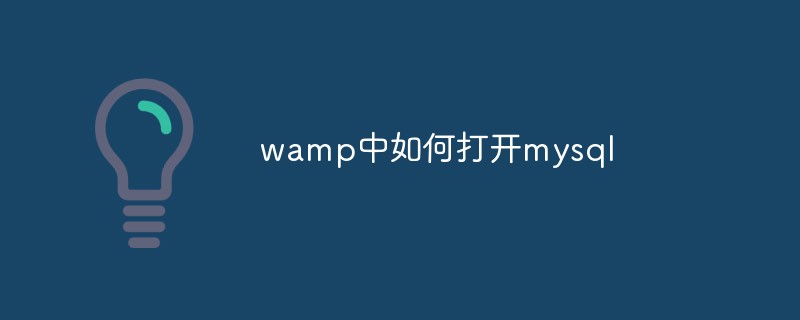 wamp中如何打开mysql