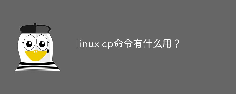 linux cp命令有什么用？