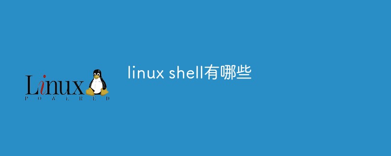 linux shell有哪些
