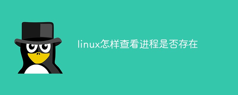 linux怎样查看进程是否存在