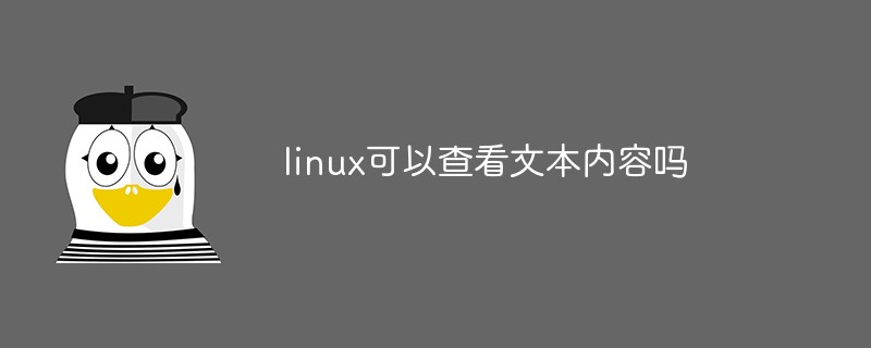 linux可以查看文本内容吗