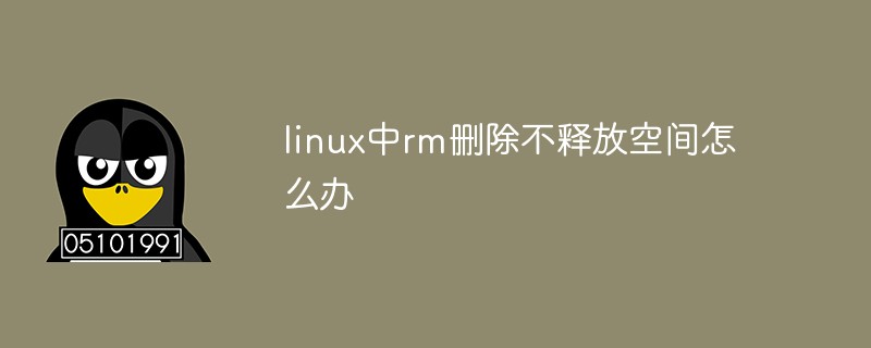 linux中rm删除不释放空间怎么办