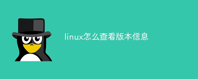 linux怎么查看版本信息