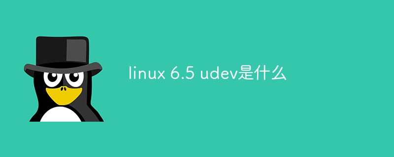 linux 6.5 udev是什么