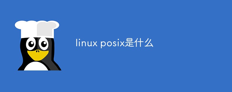 linux posix是什么