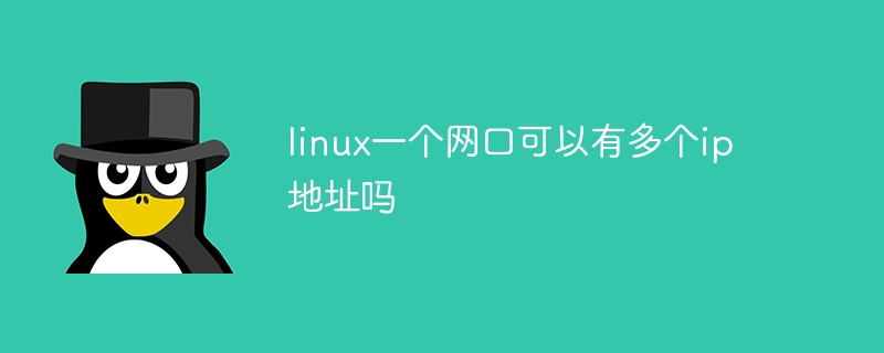 linux一个网口可以有多个ip地址吗