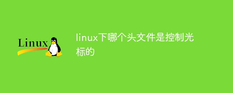 linux下哪个头文件是控制光标的