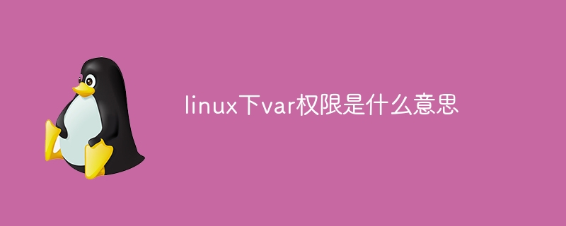 linux下var权限是什么意思