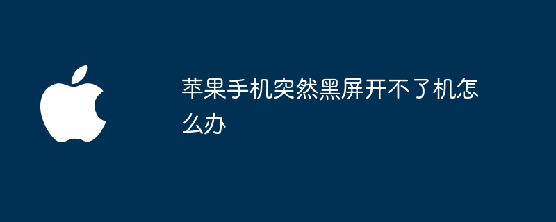 苹果手机突然黑屏开不了机怎么办