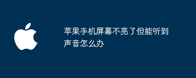 苹果手机屏幕不亮了但能听到声音怎么办