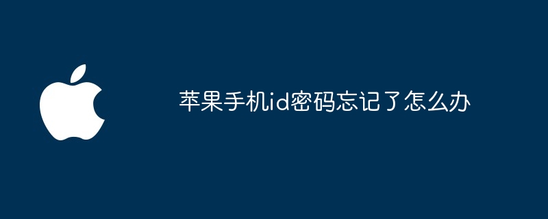 苹果手机id密码忘记了怎么办