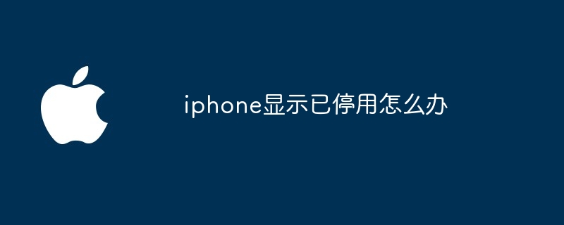iphone显示已停用怎么办