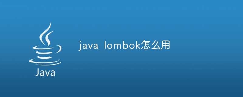 java lombok怎么用