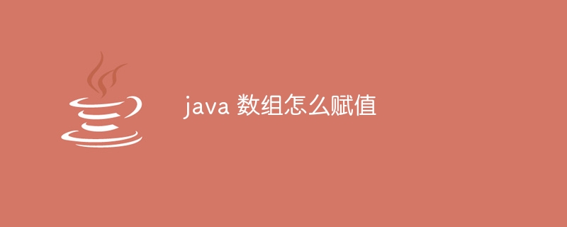 java 数组怎么赋值
