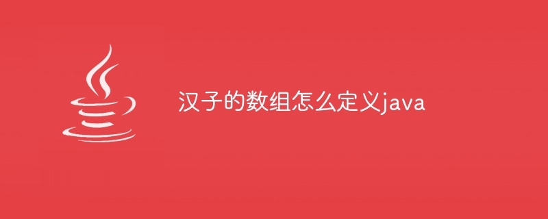 汉子的数组怎么定义java