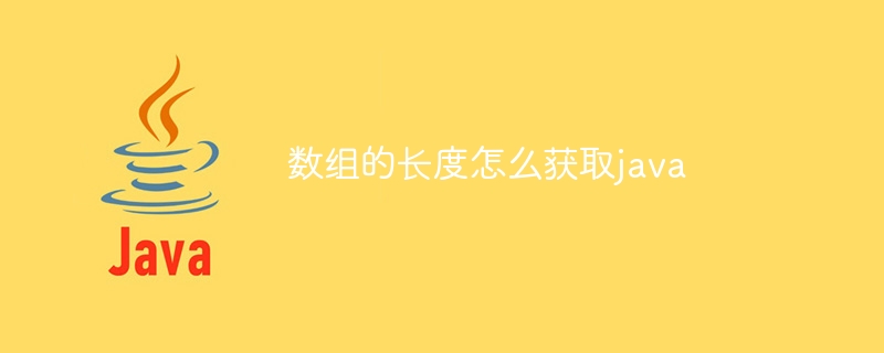 数组的长度怎么获取java