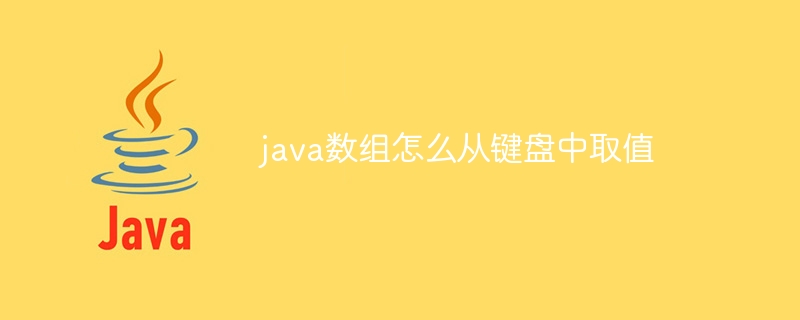 java数组怎么从键盘中取值
