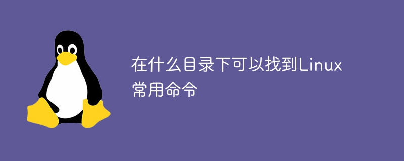 在什么目录下可以找到Linux常用命令