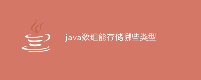 java数组能存储哪些类型