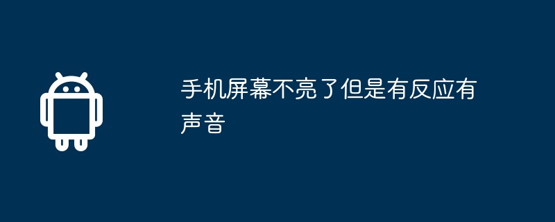 手机屏幕不亮了但是有反应有声音