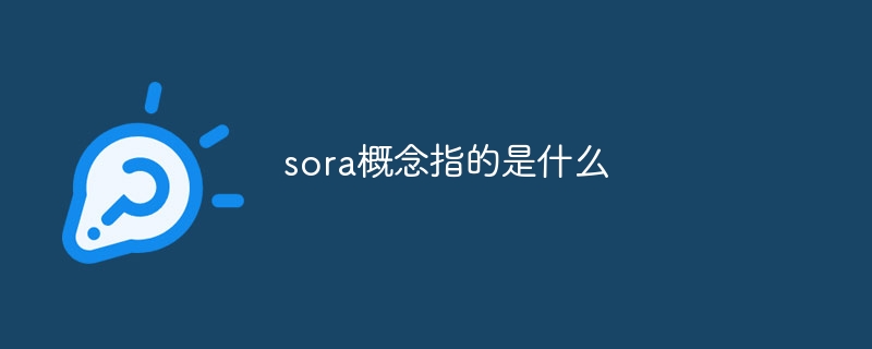 sora概念指的是什么