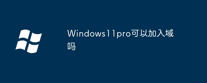 Windows11pro可以加入域吗