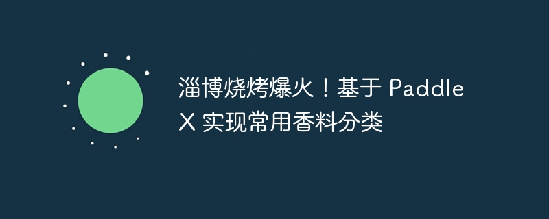 淄博烧烤爆火！基于 PaddleX 实现常用香料分类