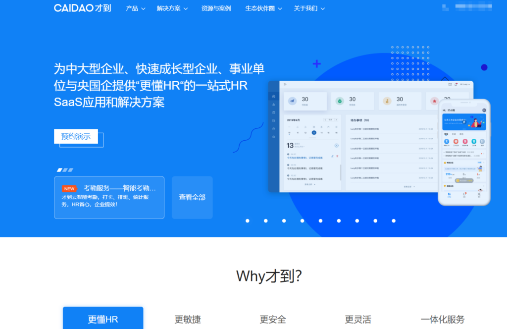2025年主流十大HR saas排名，哪款HR软件更好用？
