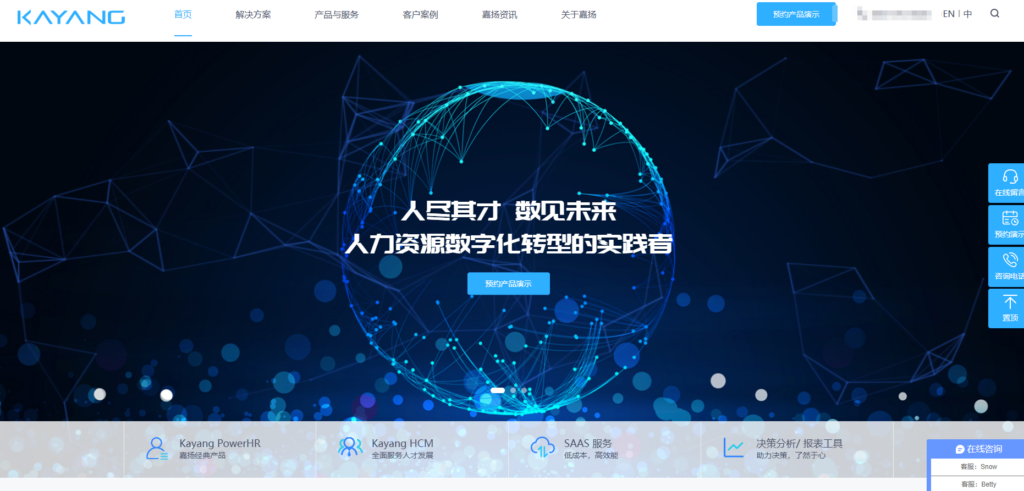 14款主流人力资源管理系统优缺点分析（2025年最新）