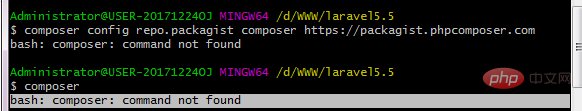 怎么解决bash: composer: command not found问题