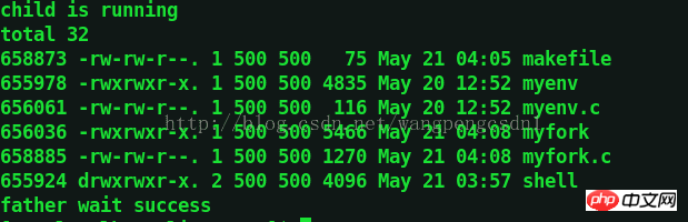 Linux使用exec函数实现进程替换的代码分享