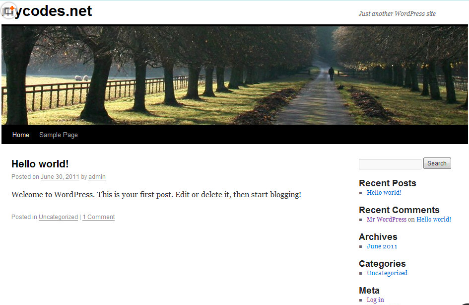  4.9.8 英文版WordPress