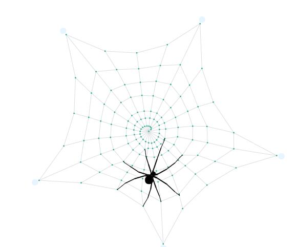 thinkphp怎么做蜘蛛池