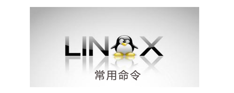 linux最常用的20个命令有哪些