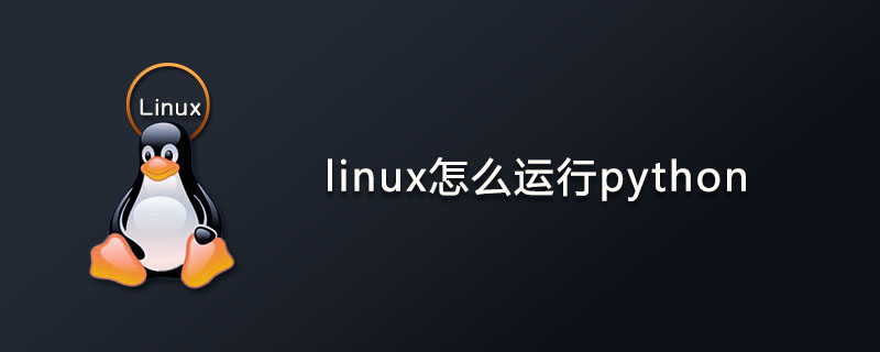 linux怎么运行python？